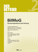 BilMoG - Konzernabschluss und Anhang